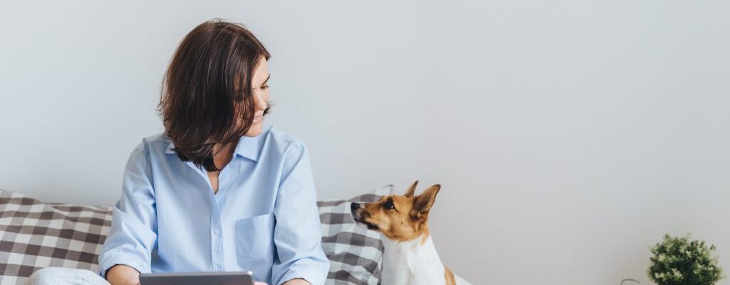 Rent a Pet-Friendly Apartment with the Best Option