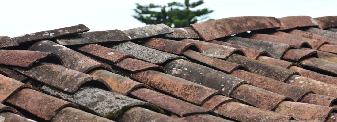 Roofing Tips for Renovators